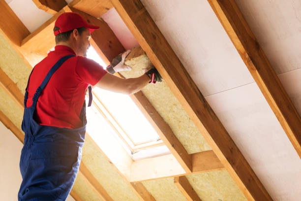 Eco-Friendly or Green Insulation Solutions in Scottville, MI